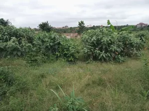 Plot of Land for Sale at Trede Mpatasie