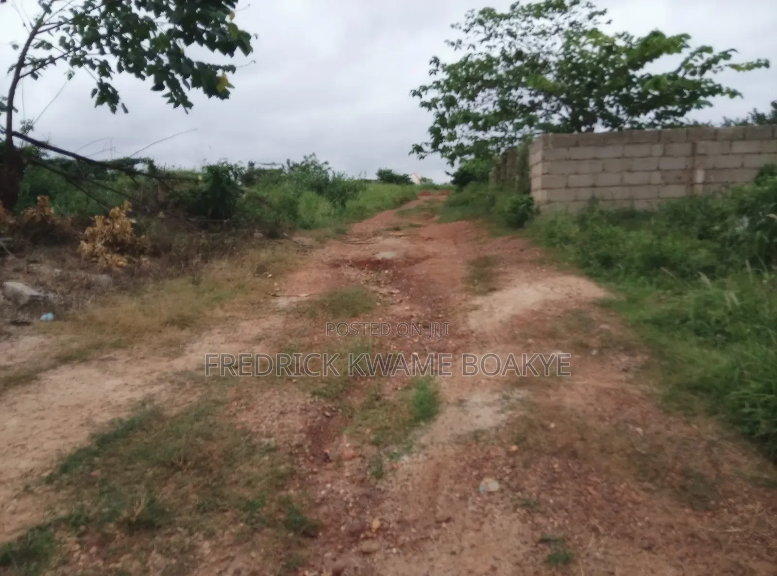 Plot of Land for Sale at Trede Mpatasie