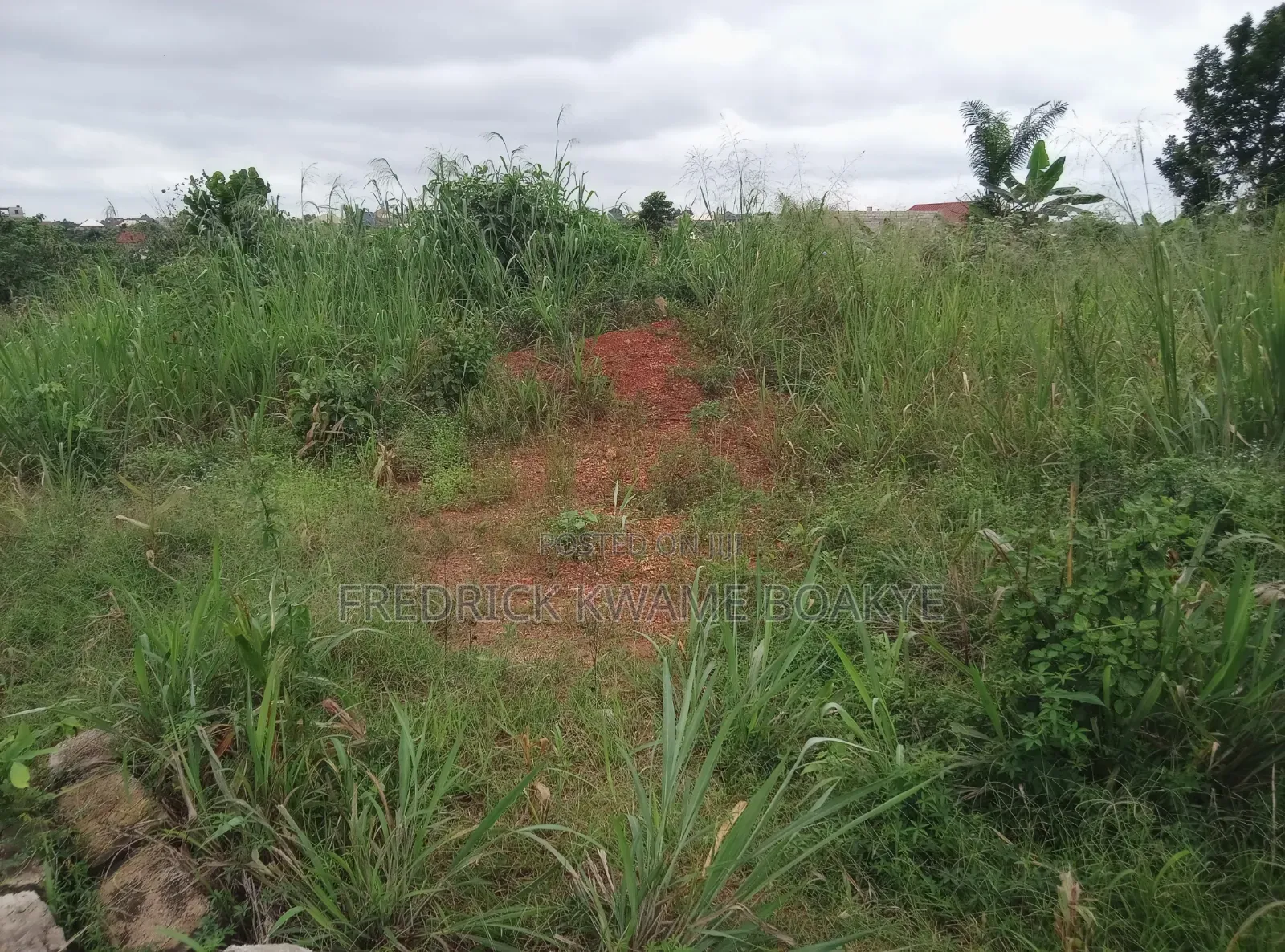 Plot of Land for Sale at Trede Mpatasie