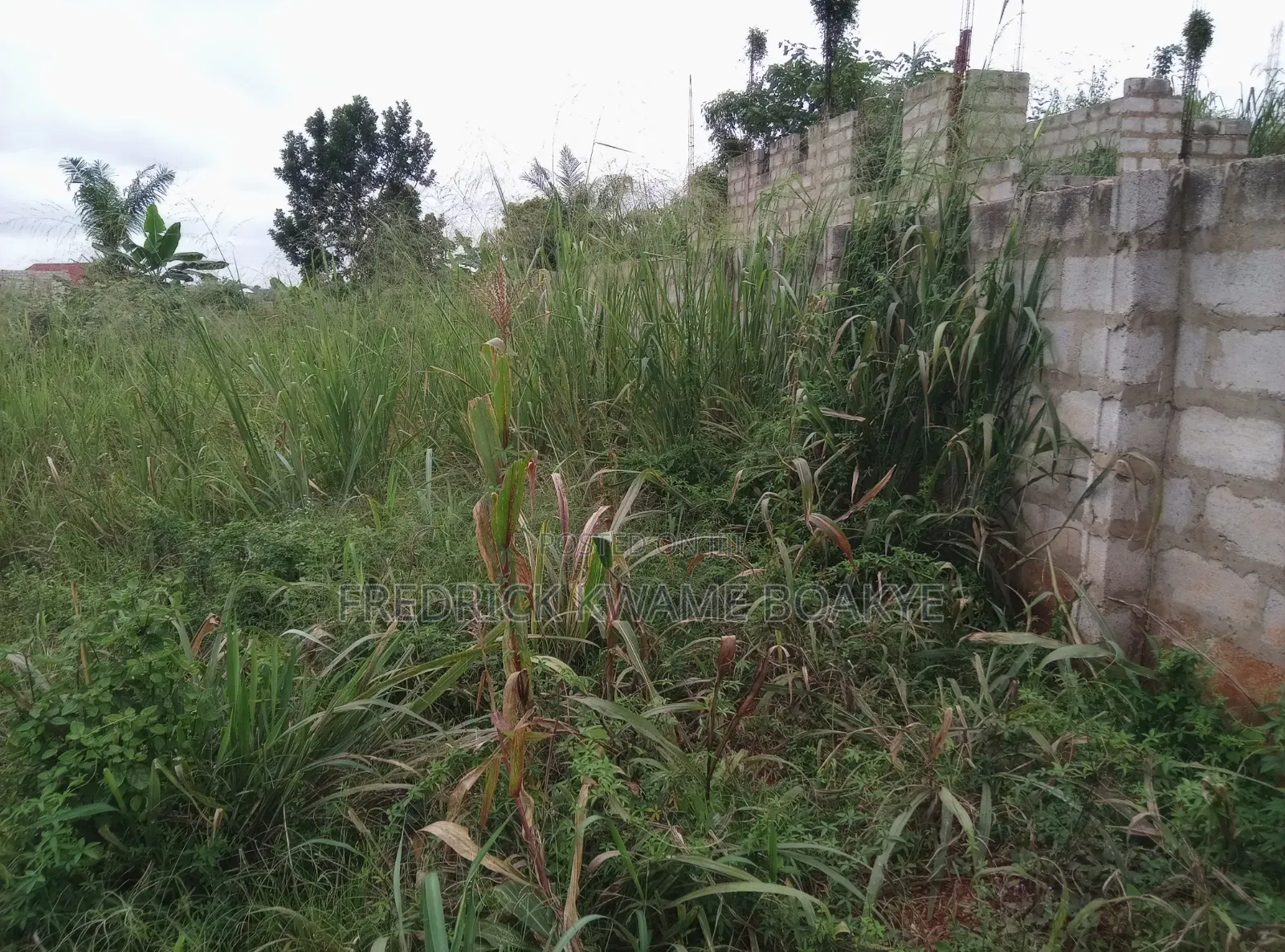 Plot of Land for Sale at Trede Mpatasie