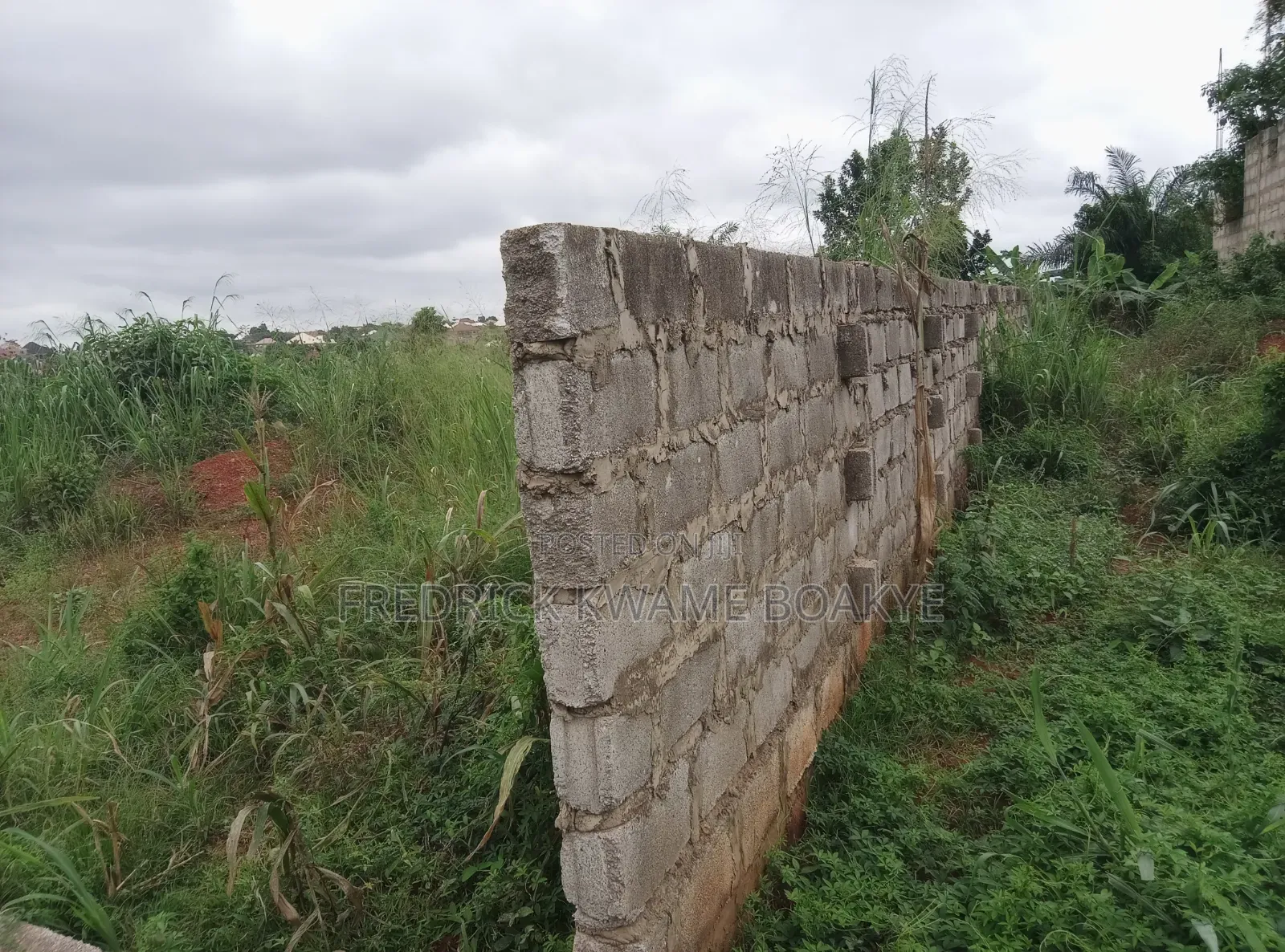 Plot of Land for Sale at Trede Mpatasie