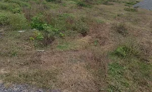 Safe Plot of Land