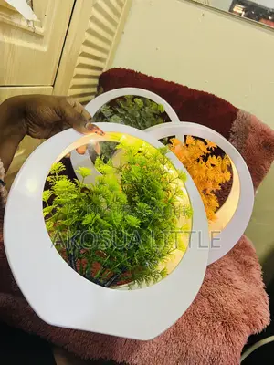 Decor Vase With Light