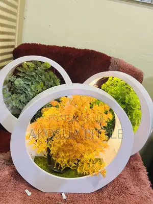 Decor Vase With Light