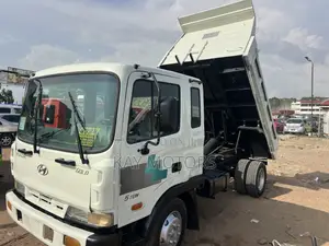 Hyundai Gold Tipper