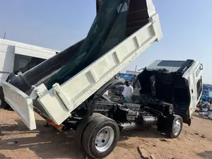 Hyundai Gold Tipper