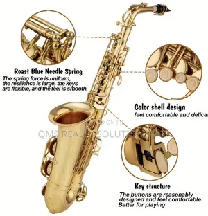 Professional E-Flat Alto Saxophone Set Plus Cordless Microphone