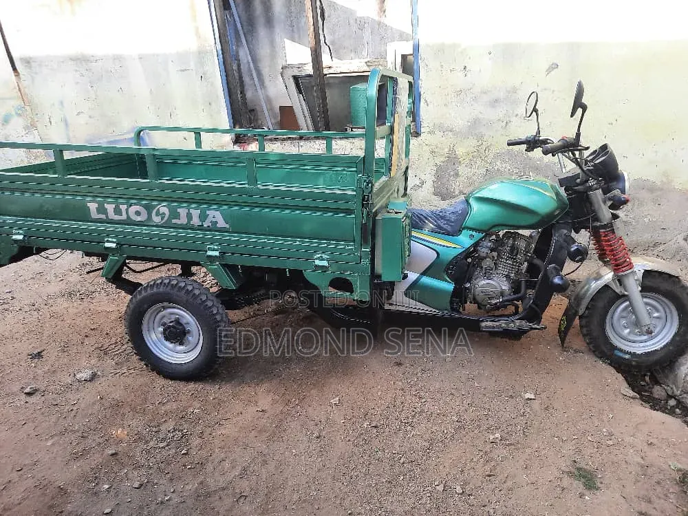 Luojia Clean Tricycle 2022 Green