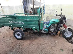 Luojia Clean Tricycle 2022 Green