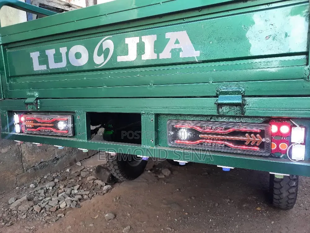 Luojia Clean Tricycle 2022 Green