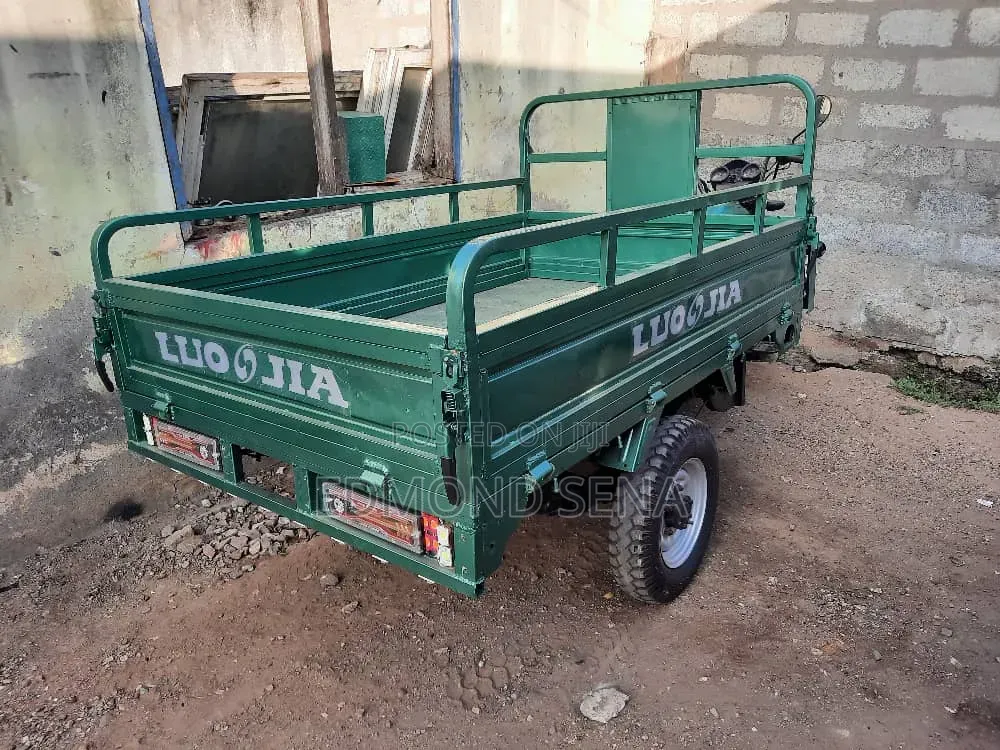 Luojia Clean Tricycle 2022 Green