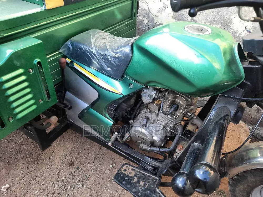 Luojia Clean Tricycle 2022 Green
