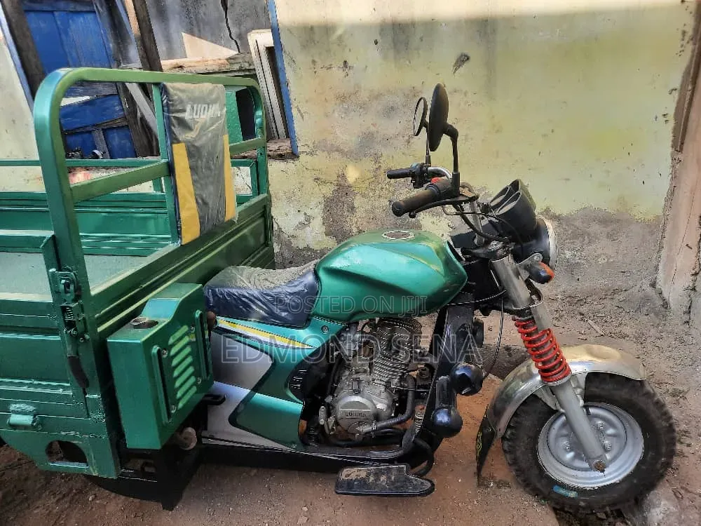 Luojia Clean Tricycle 2022 Green