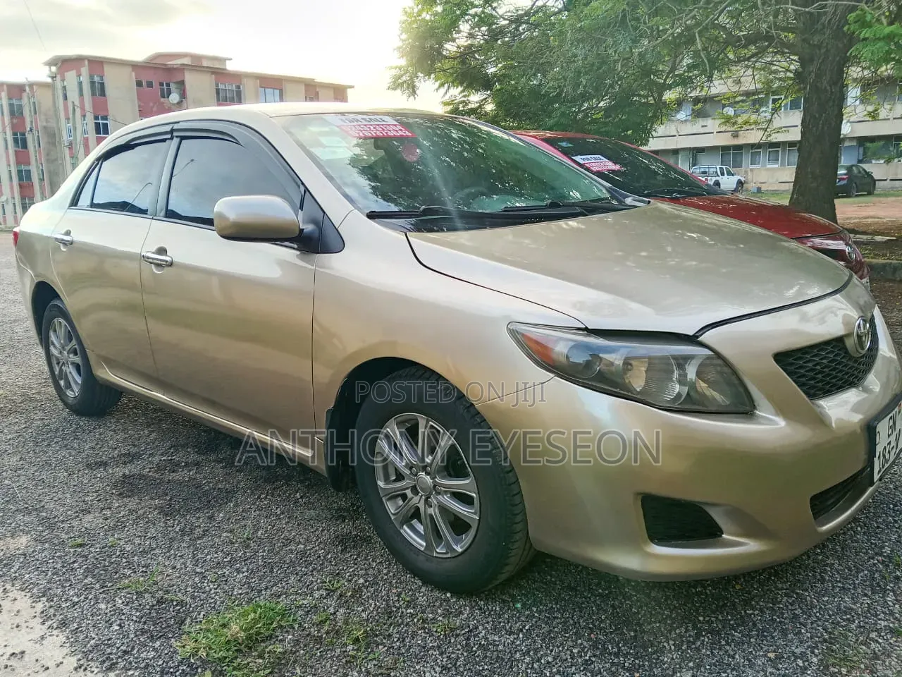 Toyota Corolla 2010 Gold