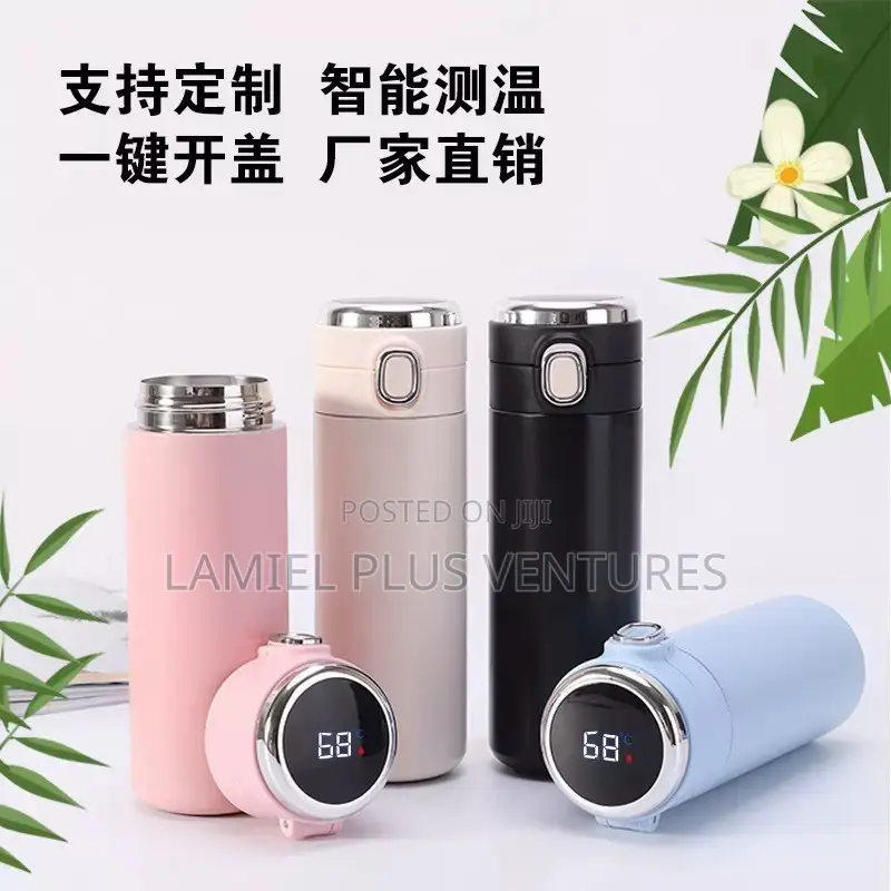 500ml Temperature Vacuum Flask