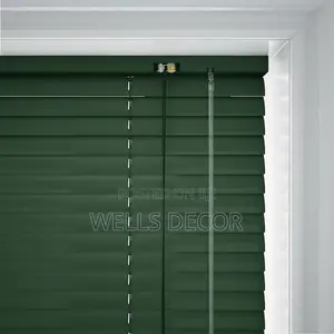 Sleek Venetian Blinds