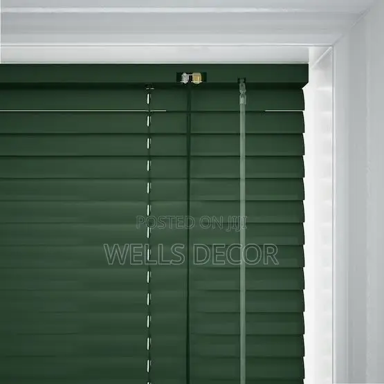Sleek Venetian Blinds
