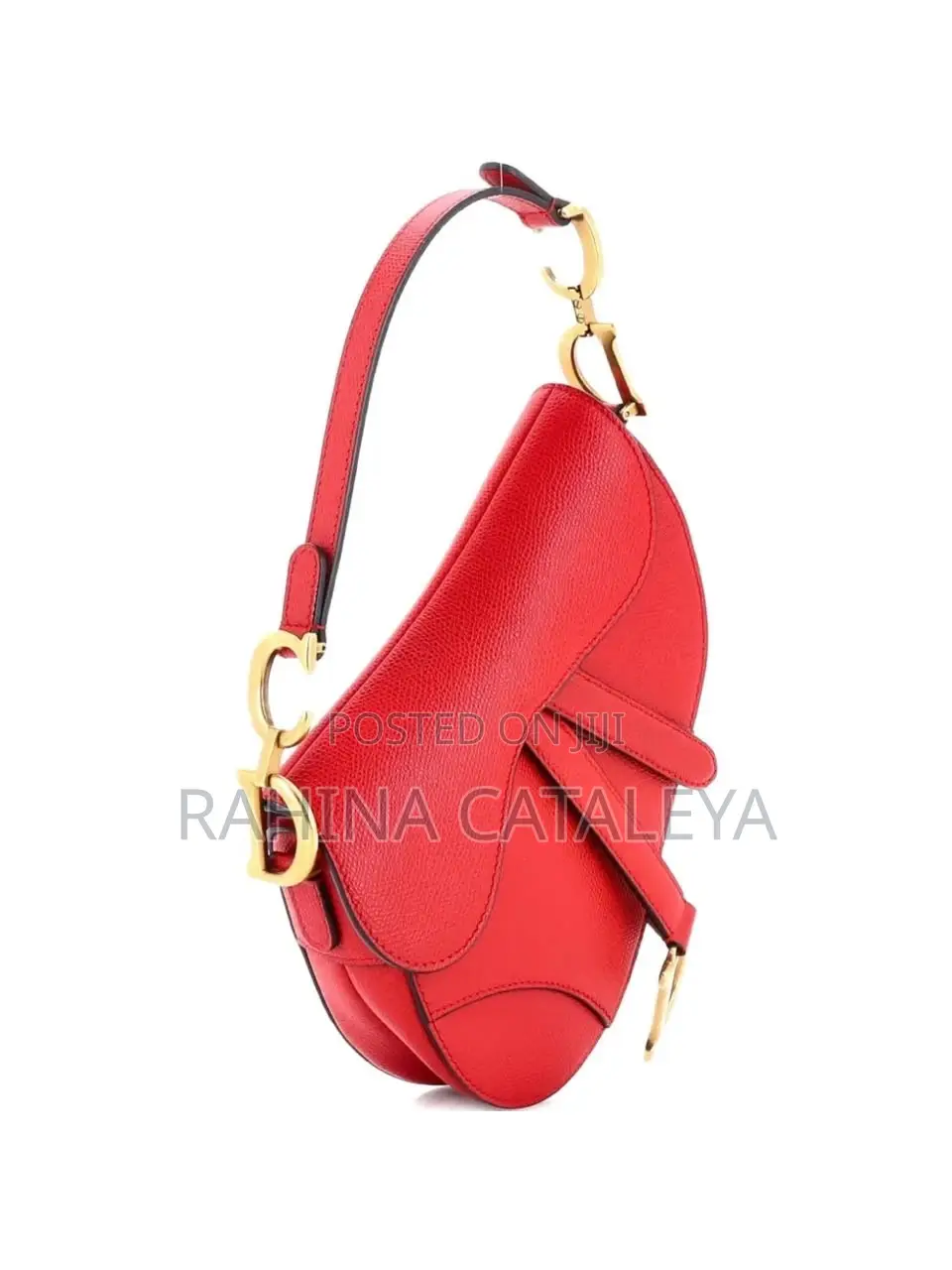 Dior Bag for Ladies