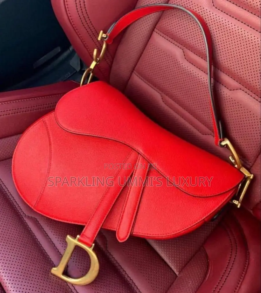Luxurious Christian Dior Saddle Bag