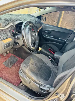 Kia Picanto 2012 Gray