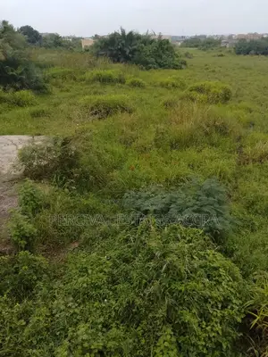 LAND FOR SALE – ACHIAMAN ESTATEPrime 70 × 100 Ft Plot