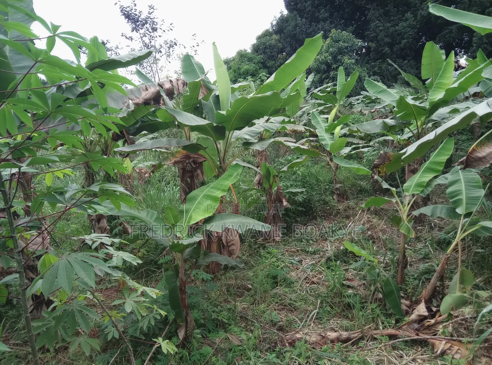 2 Plots of Land for Sale at Santasi Apire Darko