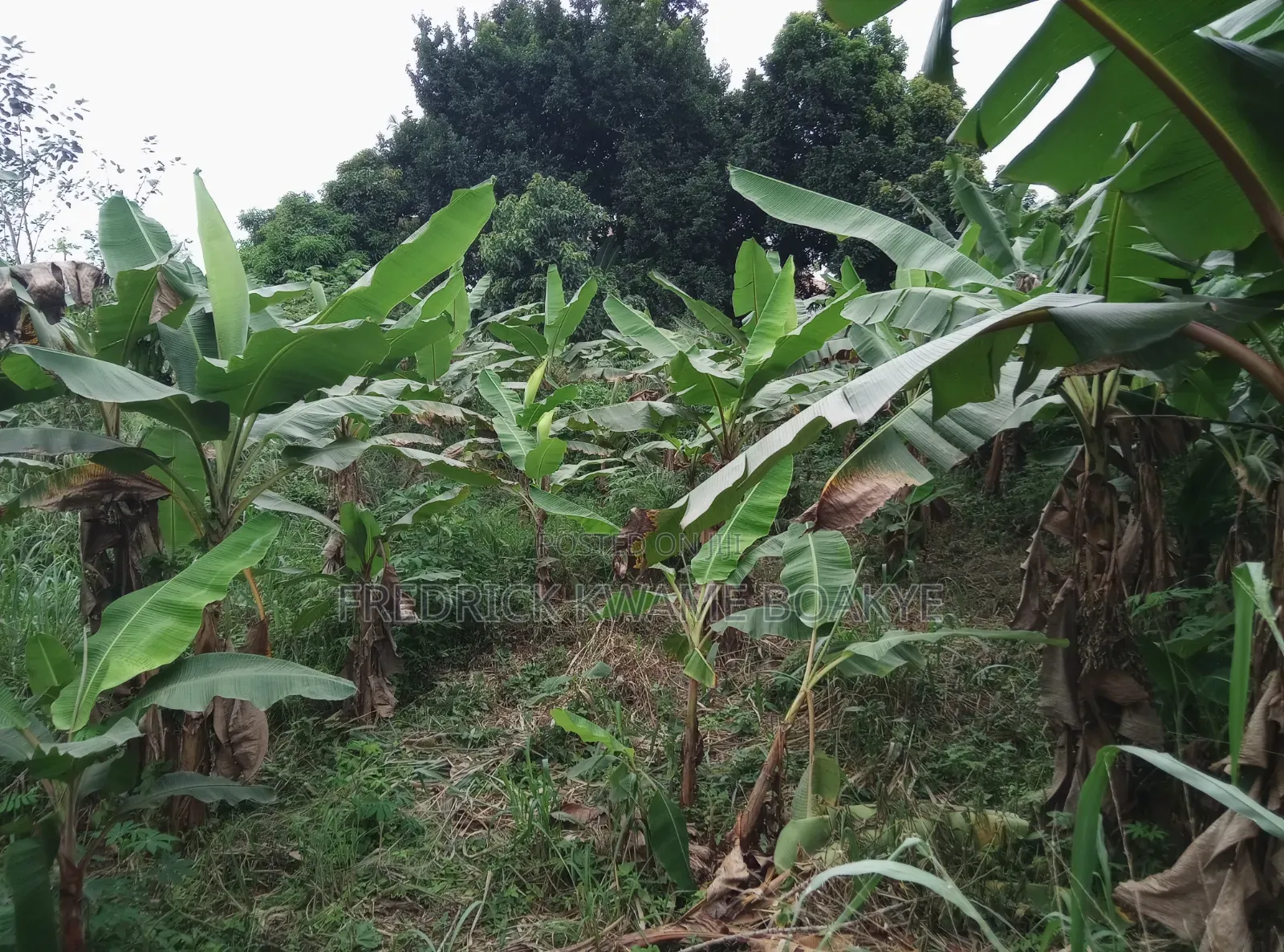 2 Plots of Land for Sale at Santasi Apire Darko