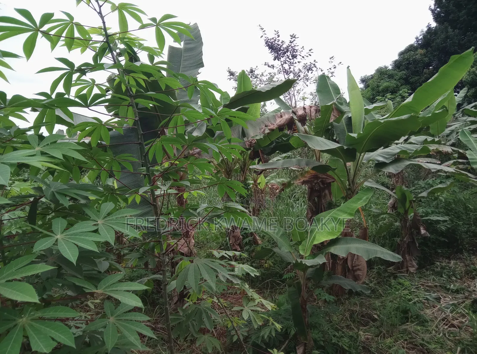 2 Plots of Land for Sale at Santasi Apire Darko