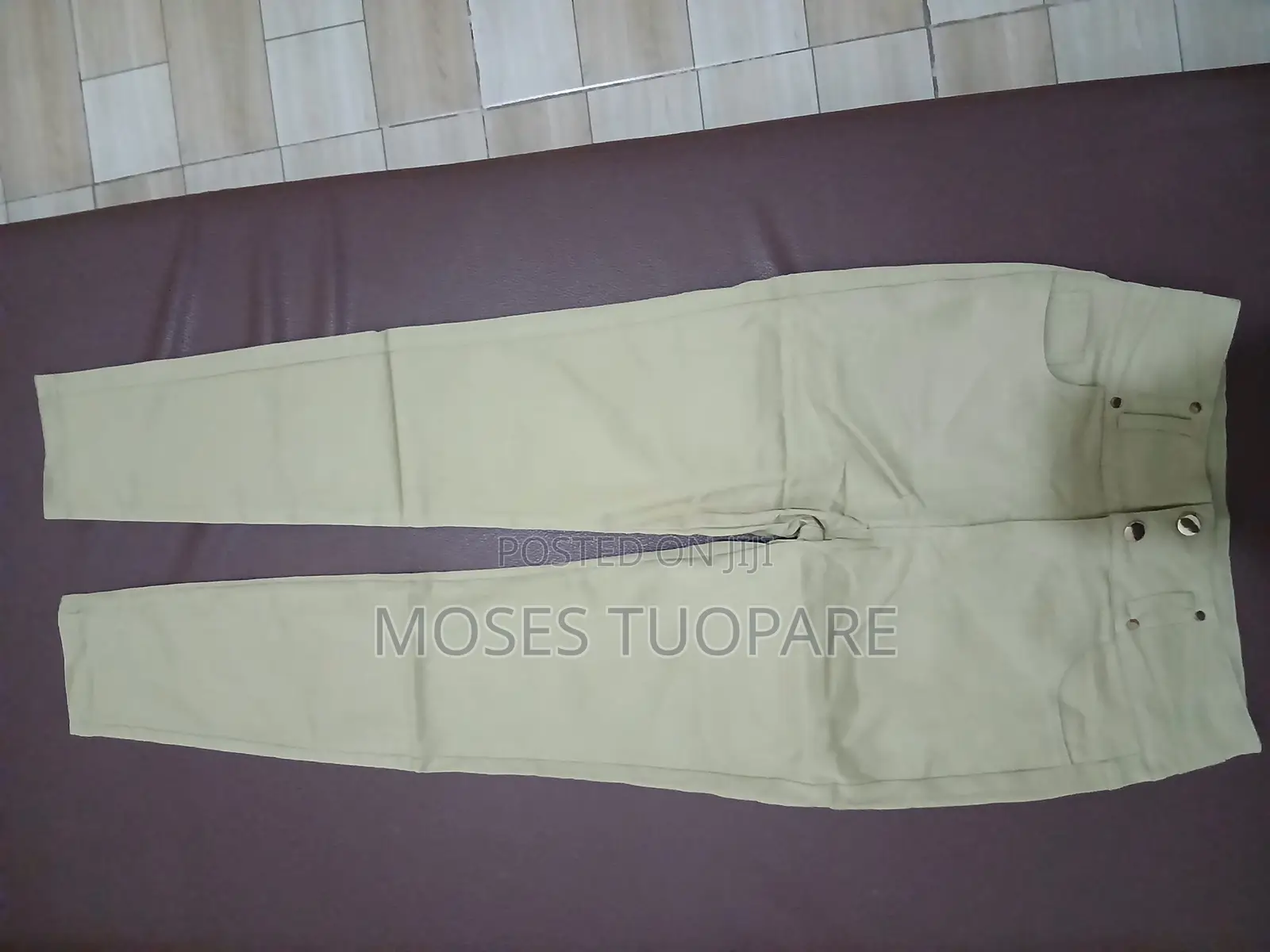 Moses Collections