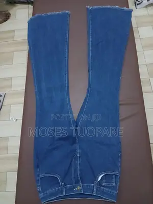 Moses Collections