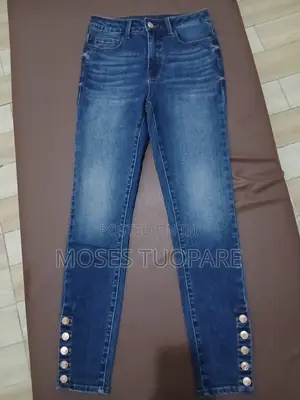 Moses Collections