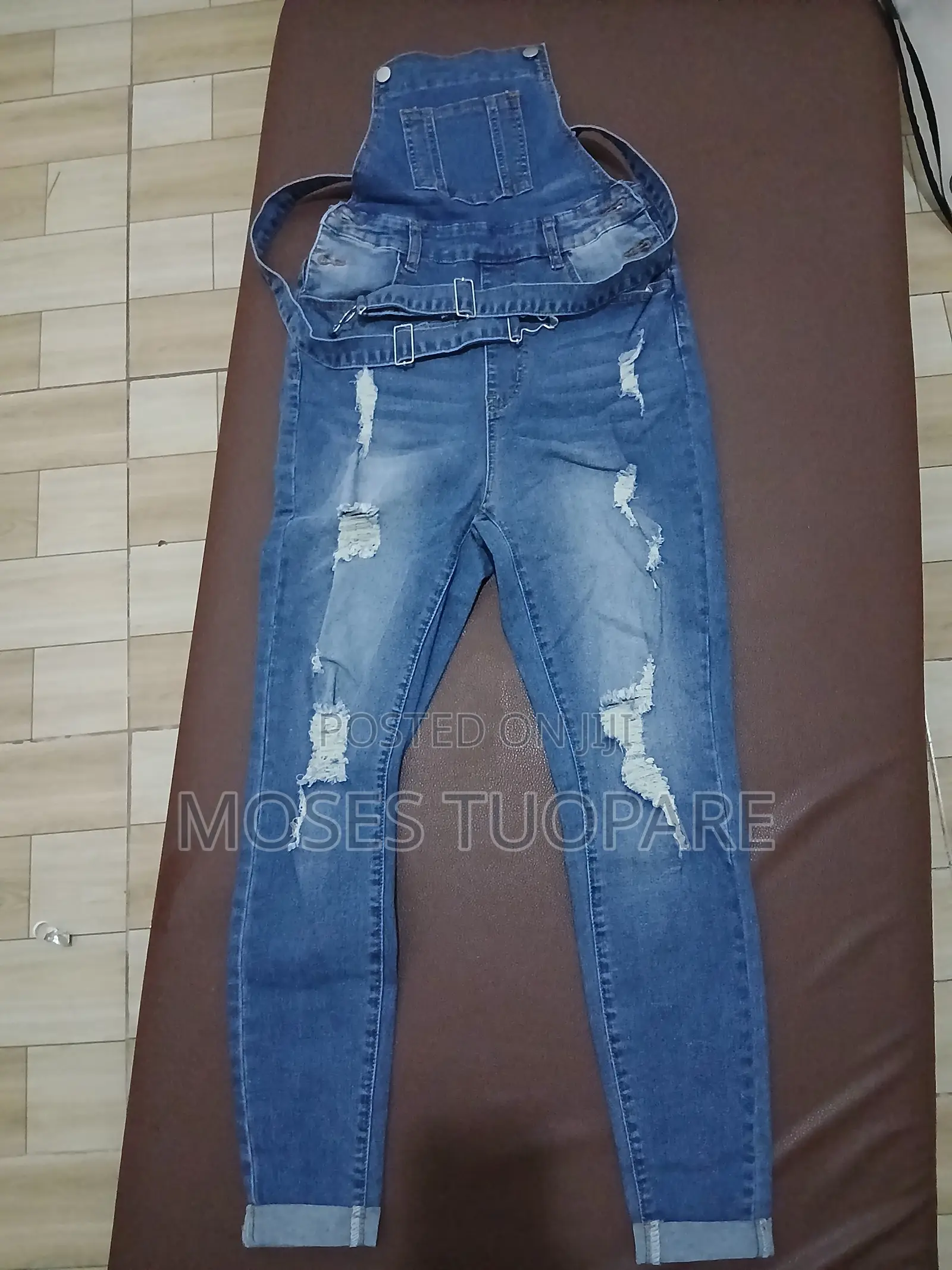 Moses Collections