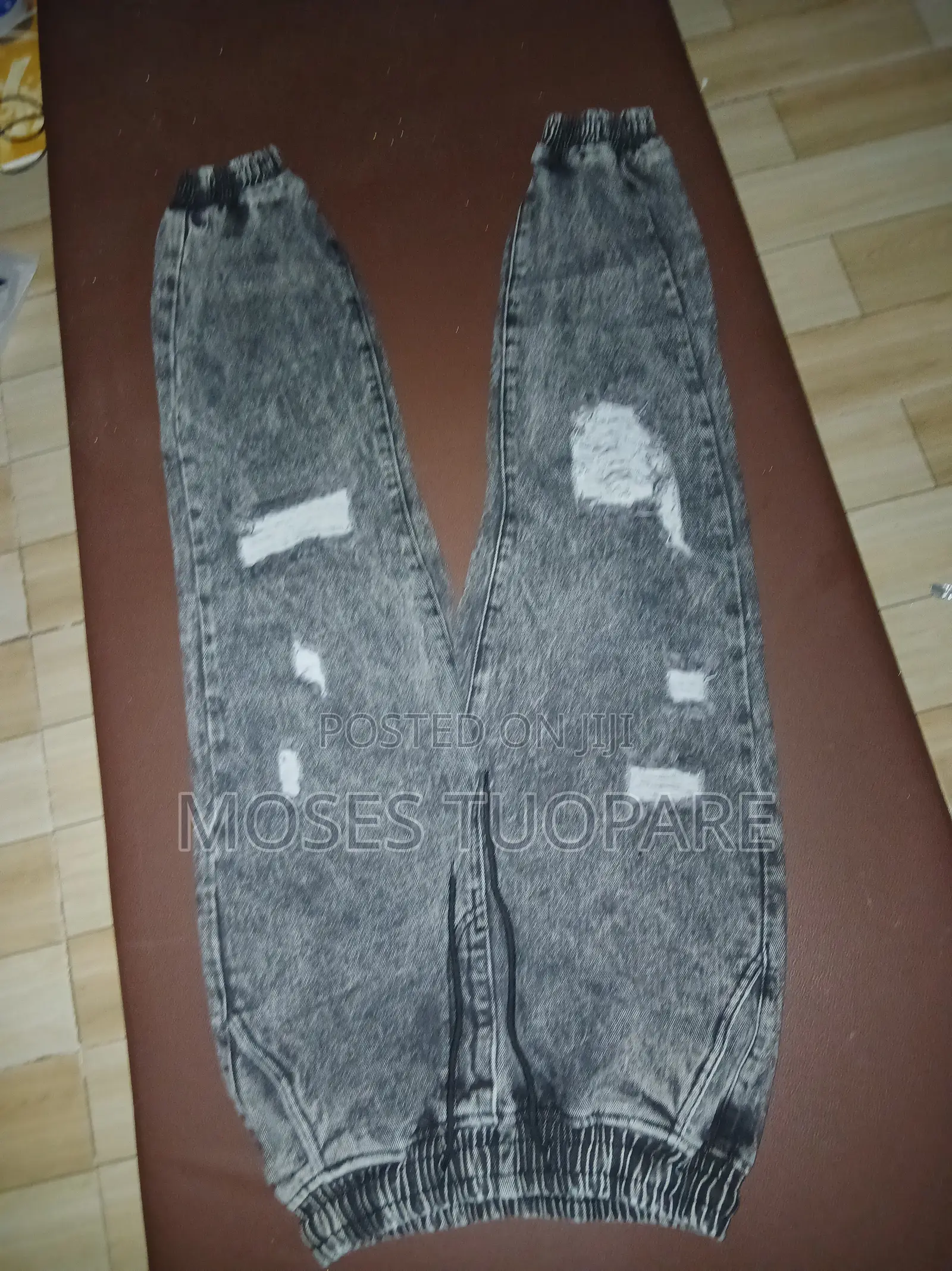 Moses Collections