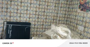Mini Flat in Din-Pa Real Estate, Kumasi Metropolitan for rent