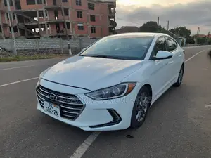 Car Rentals - Hyundai Elantra (Self Drive / Chauffeur)