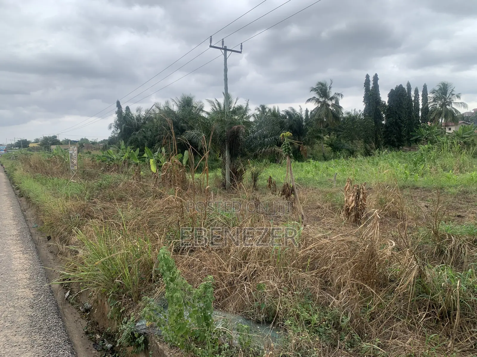 Roadside Land