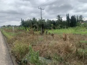 Roadside Land