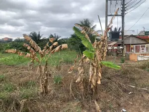 Roadside Land