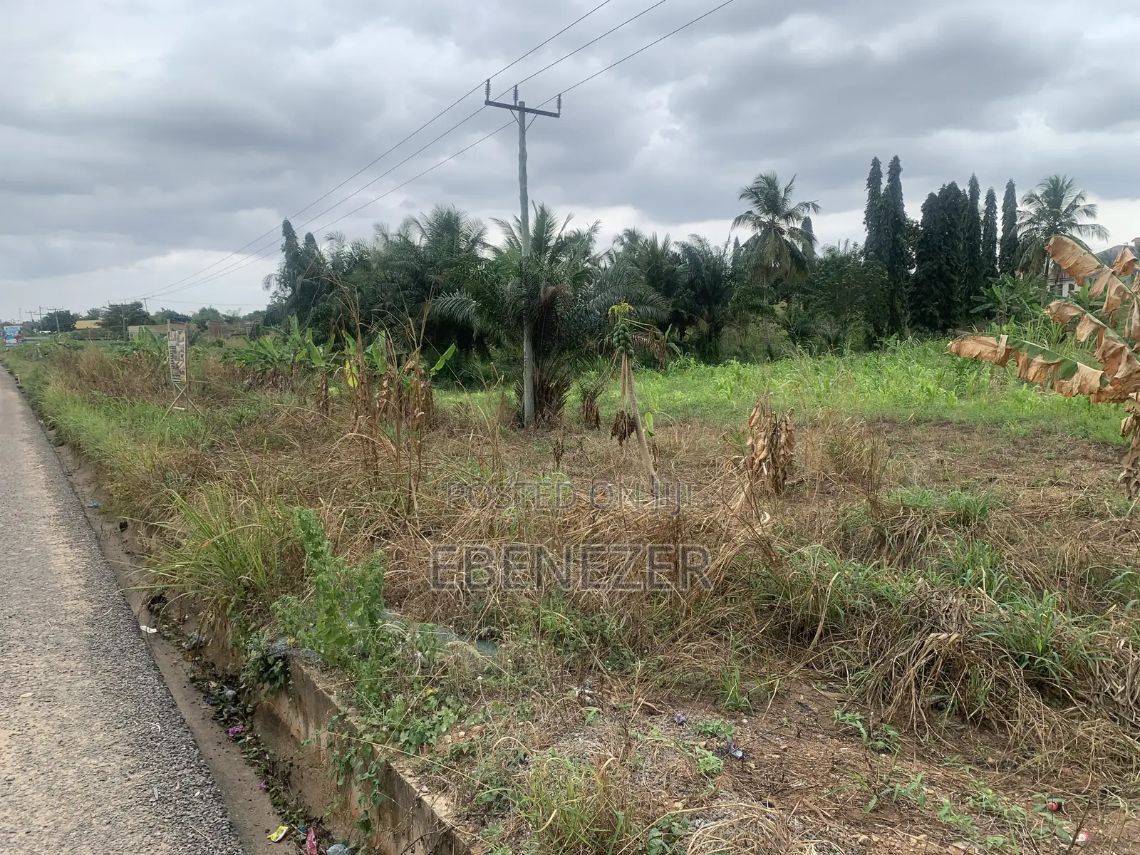 Roadside Land