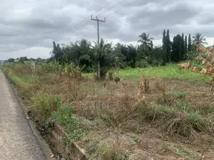 Roadside Land