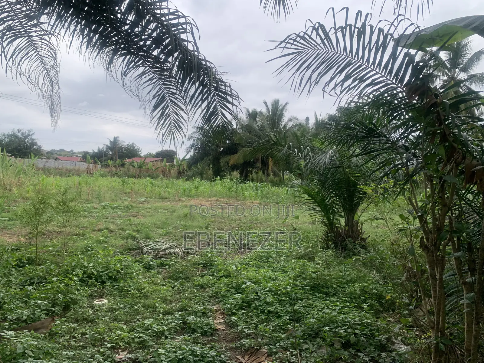 Roadside Land