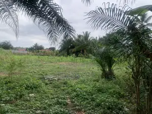 Roadside Land