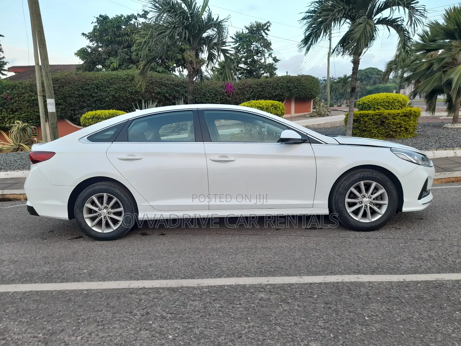 Car Rentals - White Sonata (Self Drive - Chauffeur)