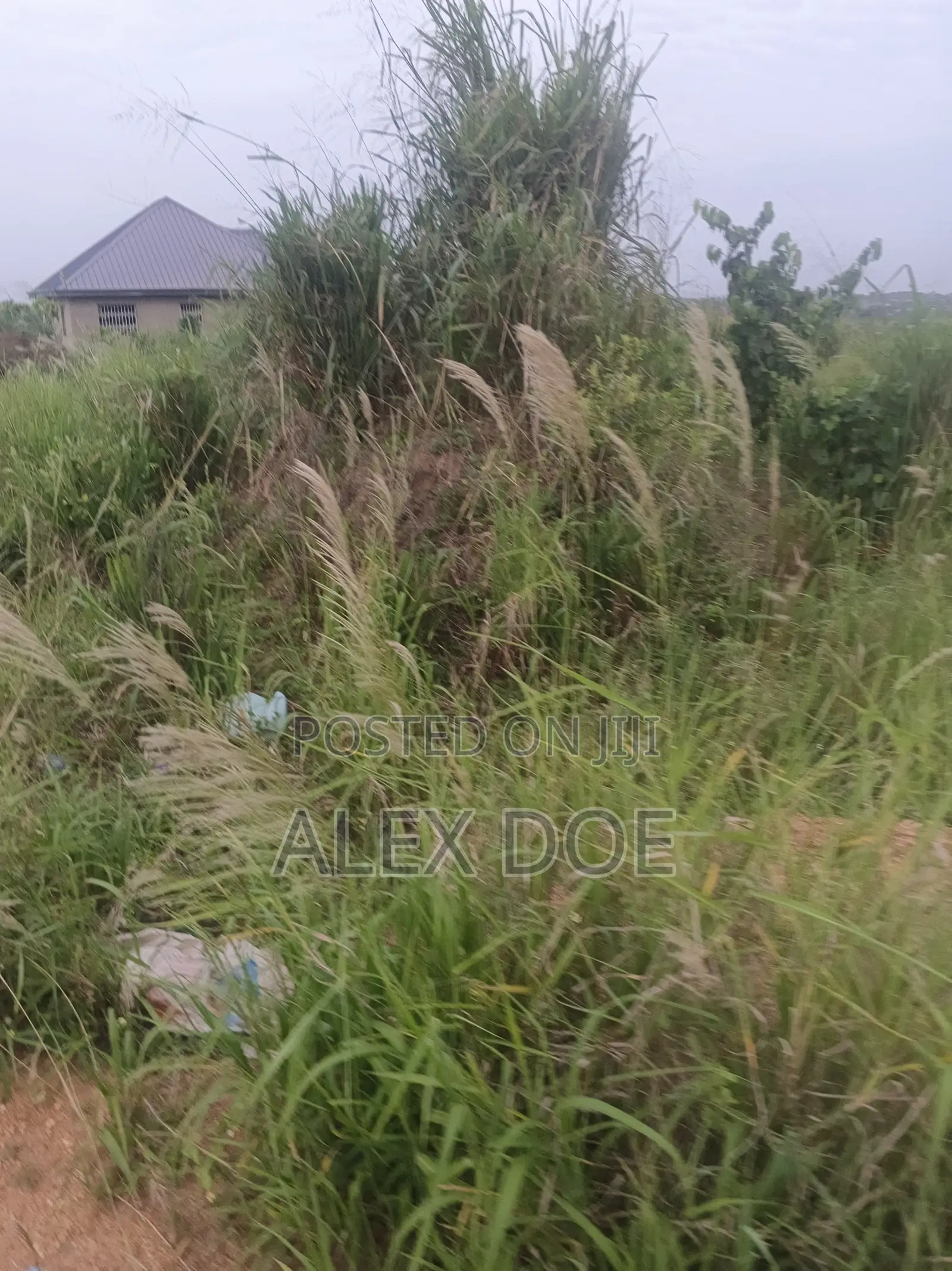 Ashalaja_Hobor Estate Plot of Land for Sale