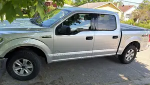 Ford F-150 2016 Silver
