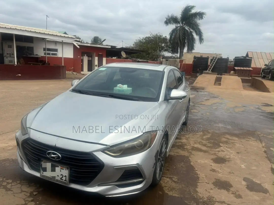 Hyundai Elantra Sport 2018 Silver