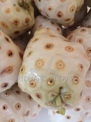 Organic Noni for Sale