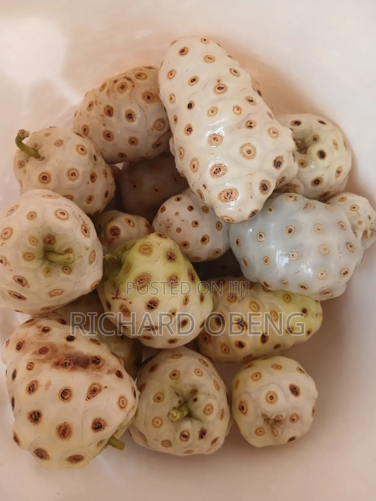 Organic Noni for Sale