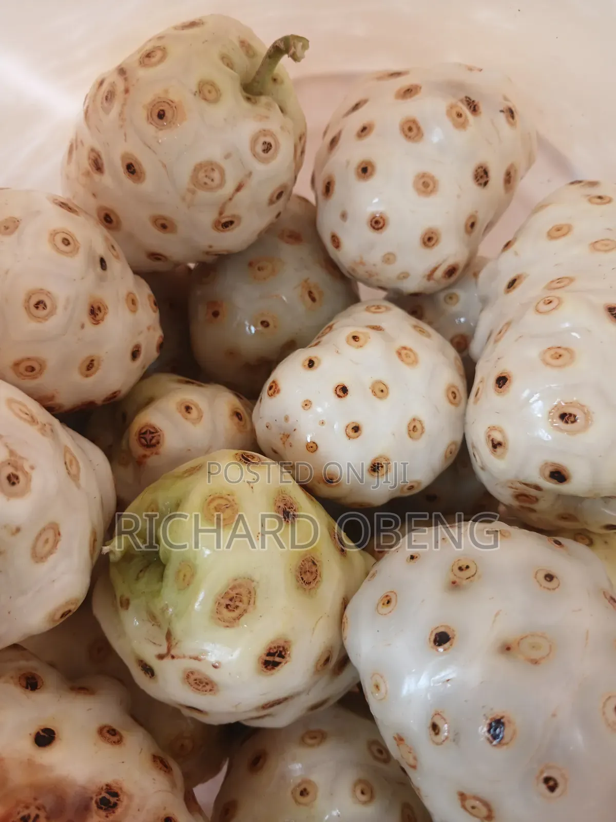 Organic Noni for Sale
