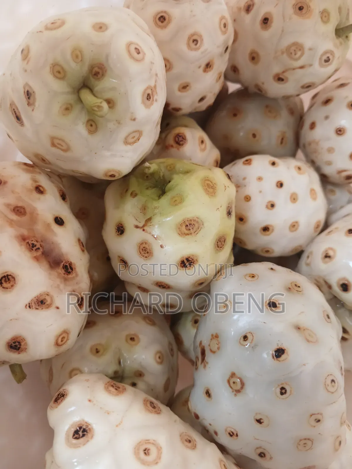 Organic Noni for Sale